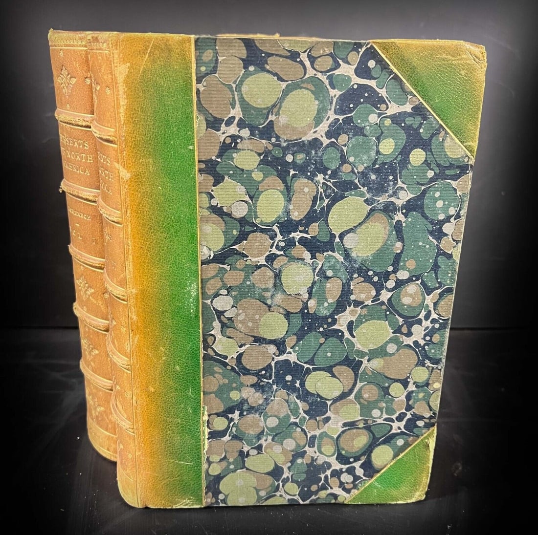 Seven Years Residence in the Great Deserts of North America 1860 (1 of 11)