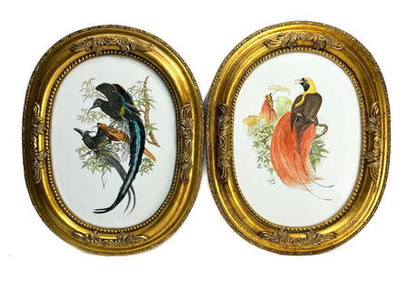 Carole Scott (US 20th C) Hand Painted Porcelain Plaque of Birds, Signed: Carole Scott (American 20th Century) hand painted porcelain plaque of birds. Artist signed to the lower edge to one plaque. In a gilt wooden oval frame. Late 20th Century. Weight: Approx. 12 lbs Measu