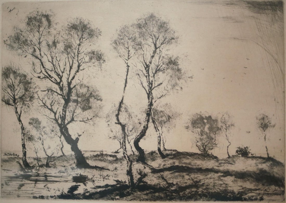Josef Steib (German 1898 - 1957) Etching, Landscape Birken im Moor 1928: Josef Steib (German 1898 - 1957) Etching on paper, Landscape - Birken im Moor 1928 Signed lower right in margin. Black wood frame, glazed. 4.5lbMeasurements: Approx. Plate 19.5 x 13.75 inches; frame 2