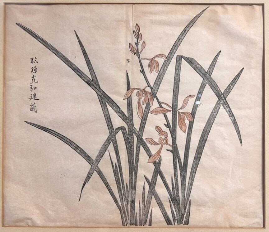 Chinese Woodblock Print of orchids plants 18th century (1 of 5)