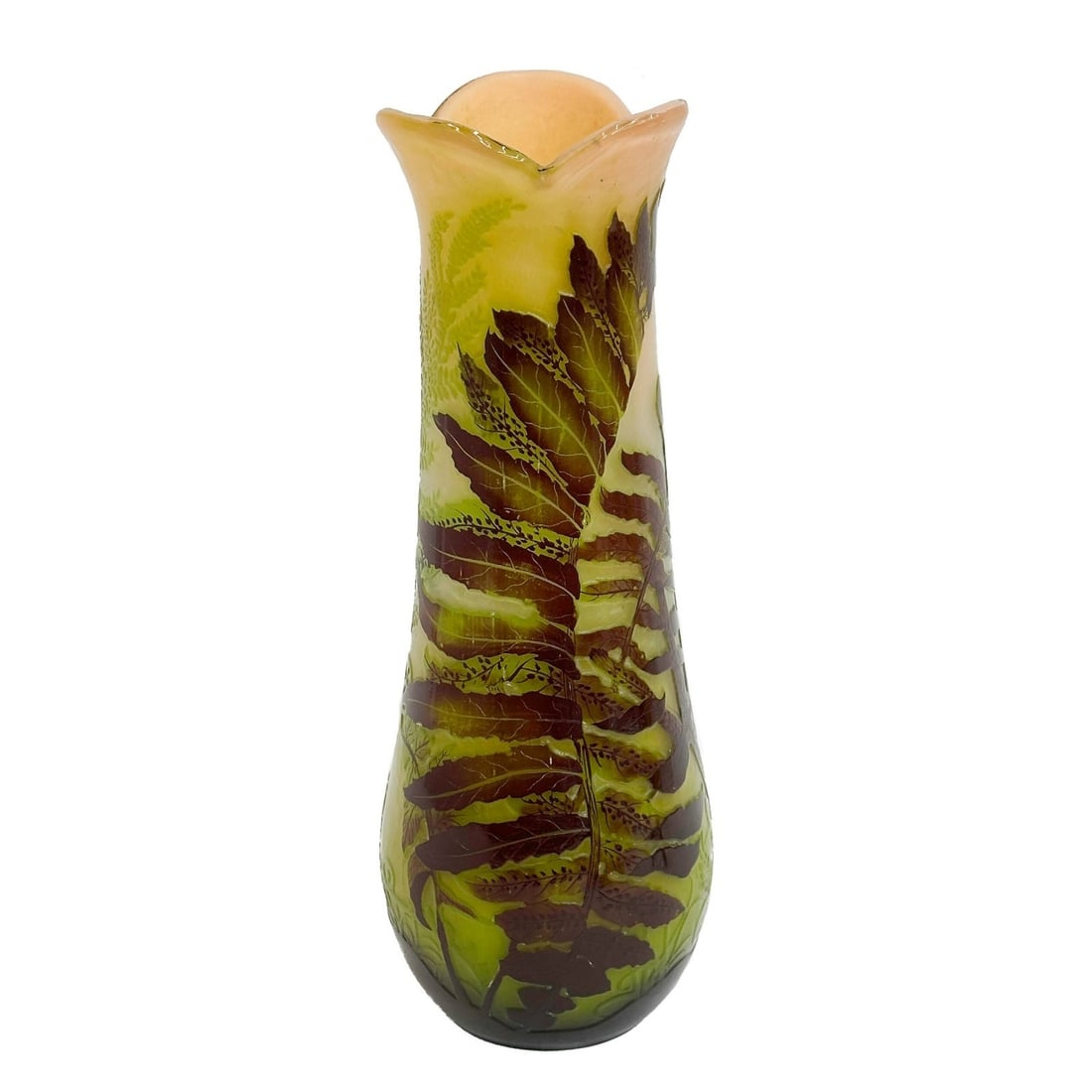 Emile Galle France Fire Polished Cameo Art Glass 12 inch Fern Vase c1880 (1 of 7)