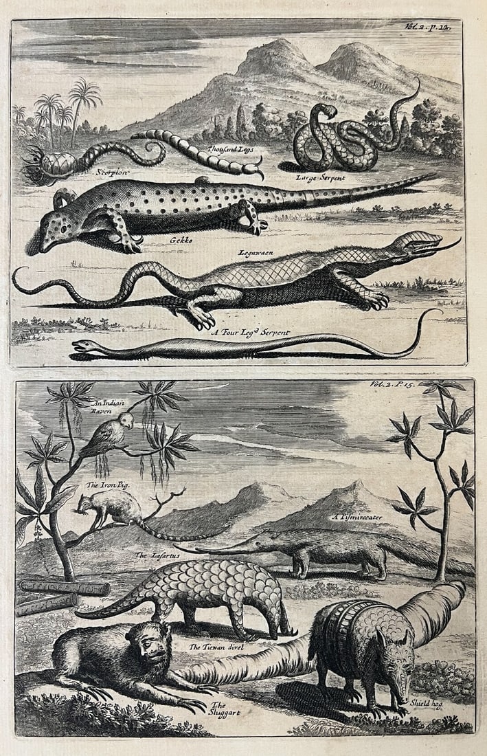 Johan Nieuhof Memorable Brazilian Sea and Land Trips Engraving 1744 (1 of 7)