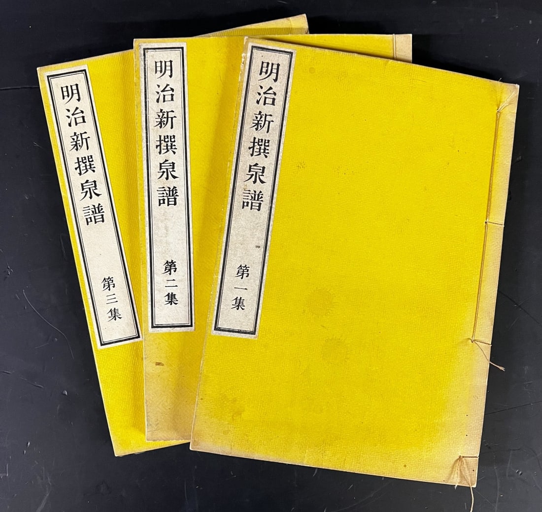 Ryuhoku Narushima Shinsen Senpu Antique Chinese coins c1880: Ryuhoku Narushima, Shinsen Senpu, Edition Meiji 3 Volume set. Antique Chinese coins. Songjuhuang (Songzhuang) Collection. Traditional japanese binding, paper covers. phb1756 Measurements: Approx. 9.5 