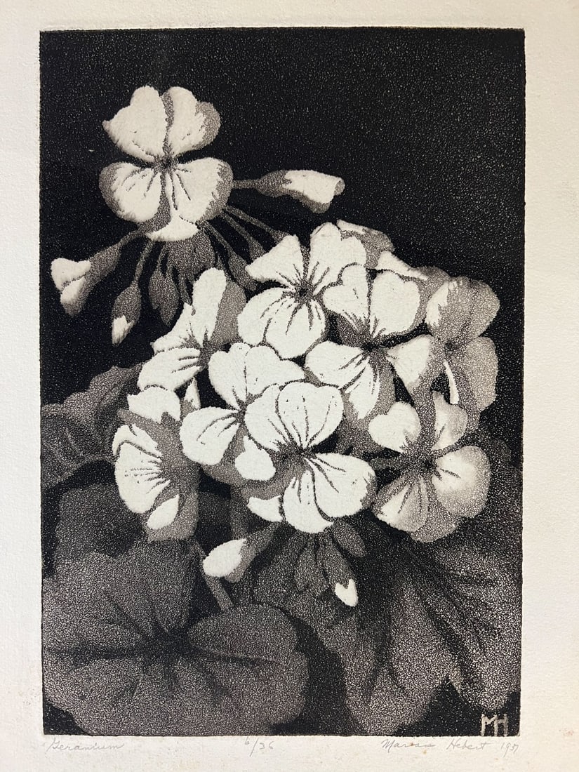 Francis Marian Hebert Etching Aquatint Geranium 1937 Ltd ed (1 of 6)
