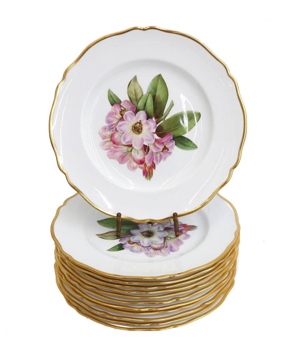 12 Copeland Spode Porcelain Dinner Plates in Rhododendron Y6638 (1 of 12)