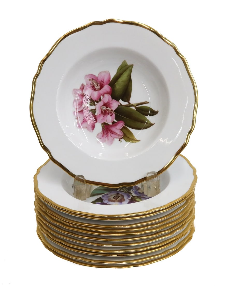 12 Copeland Spode Porcelain Rimmed Soup Bowls in Rhododendron Y6638 (1 of 9)