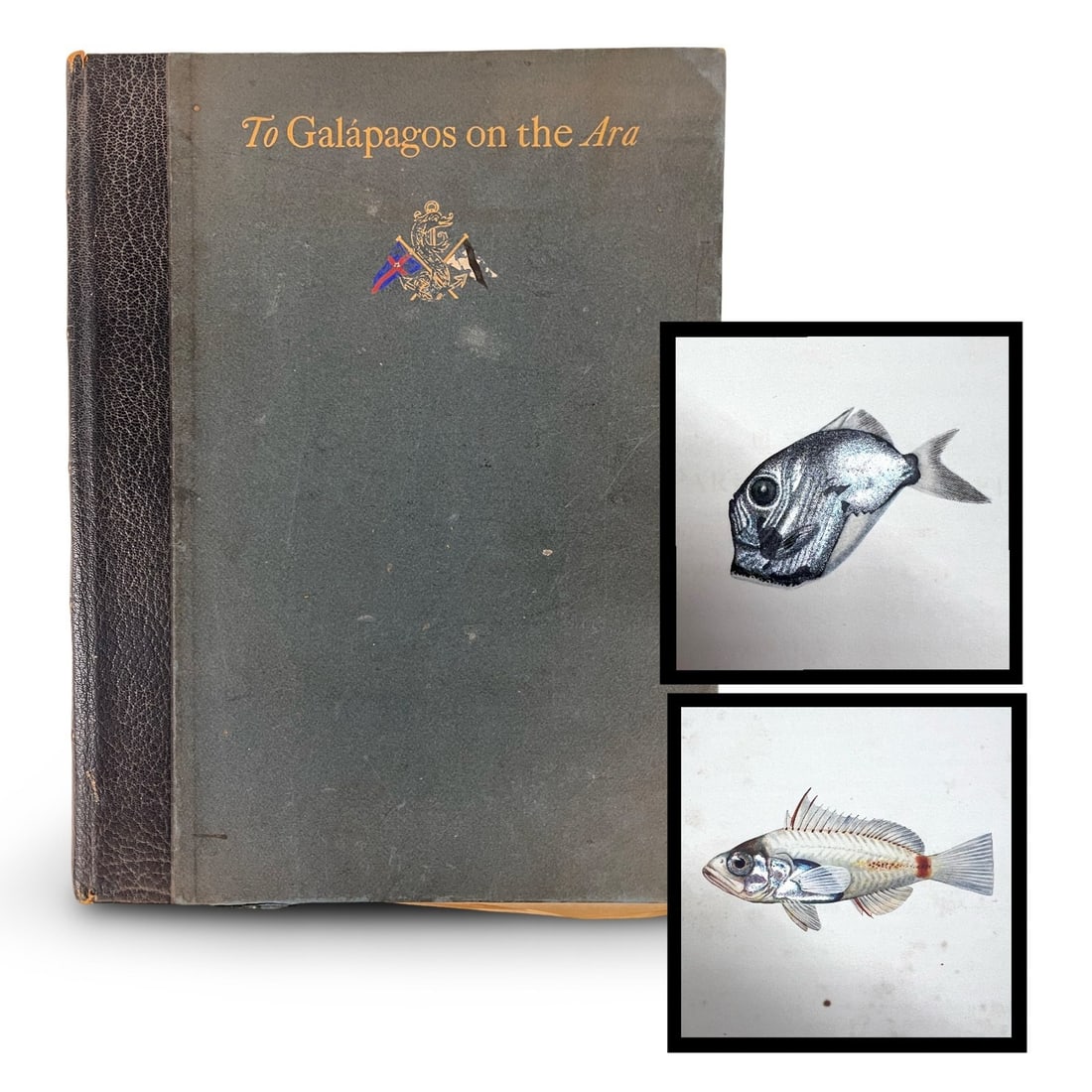 William K Vanderbilt, To Galapagos on the Ara, 1926, 1st Limited Edition (1 of 20)