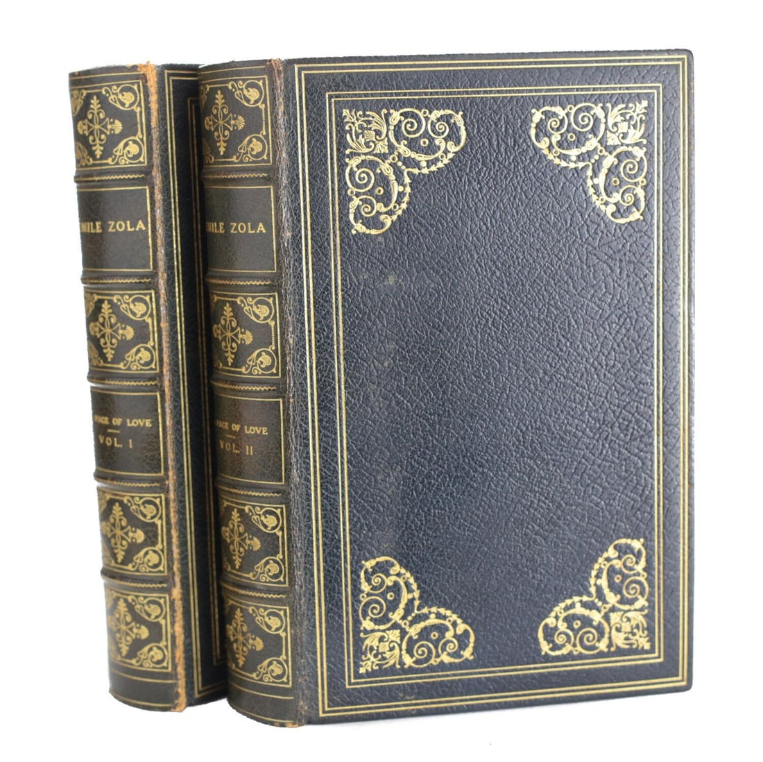 Emile Zola, A Page of Love, Vol I and II, Limited Edition, George Barrie & Son (1 of 7)