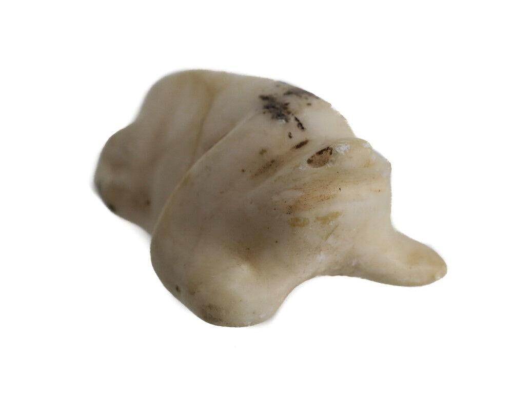 Pre Columbian Carved white Stone Frog Effigy (1 of 3)