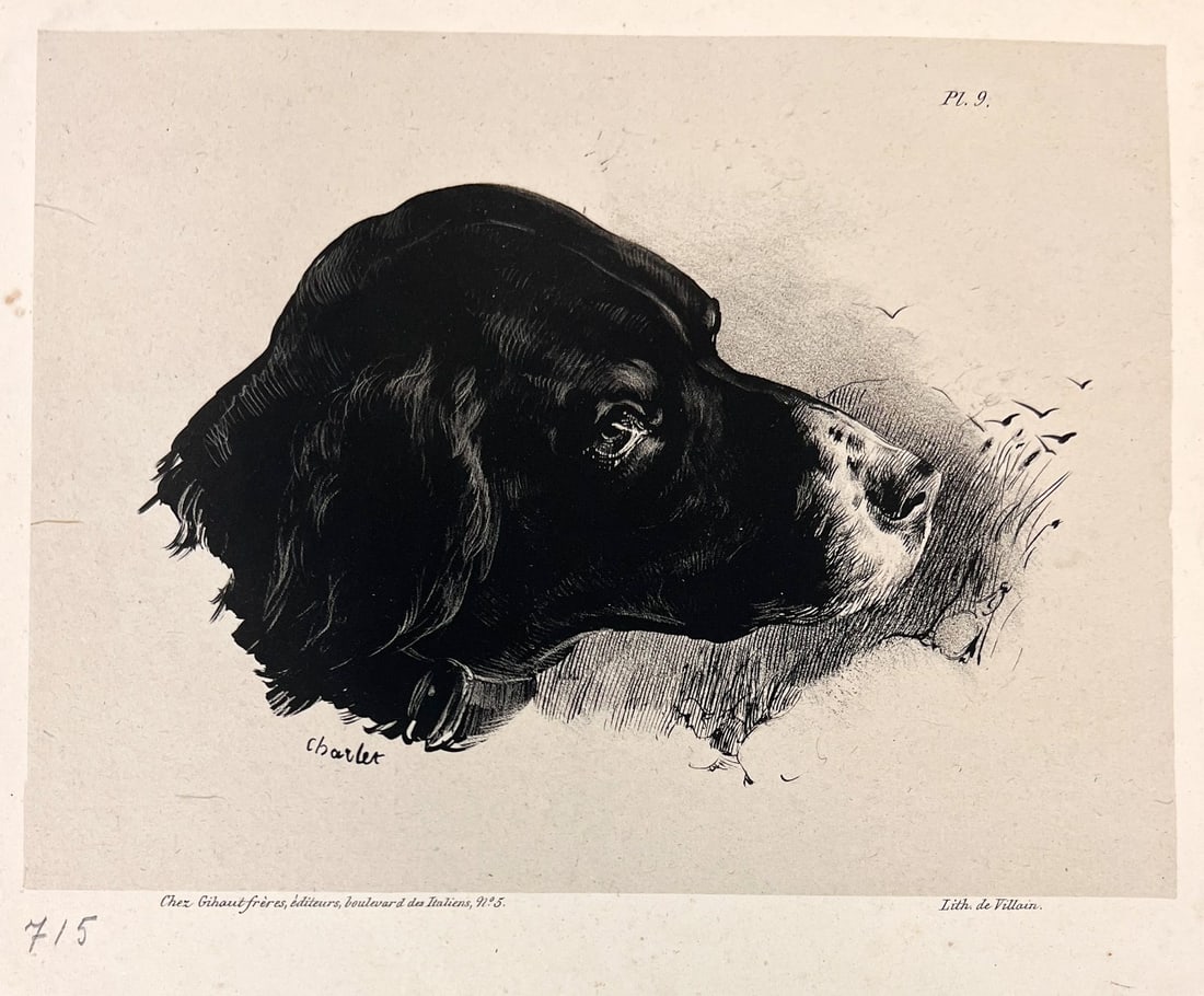 Nicolas Toussaint Charlet Lithograph Tete de chien braque 1828: Nicolas Toussaint Charlet Lithograph on paper, title - Tête de chien braque (Head of a Pointer Dog) Plate 9, from the album Croquis et Pochades à l'Encre (Ink Sketches and Quick Studies), Published 
