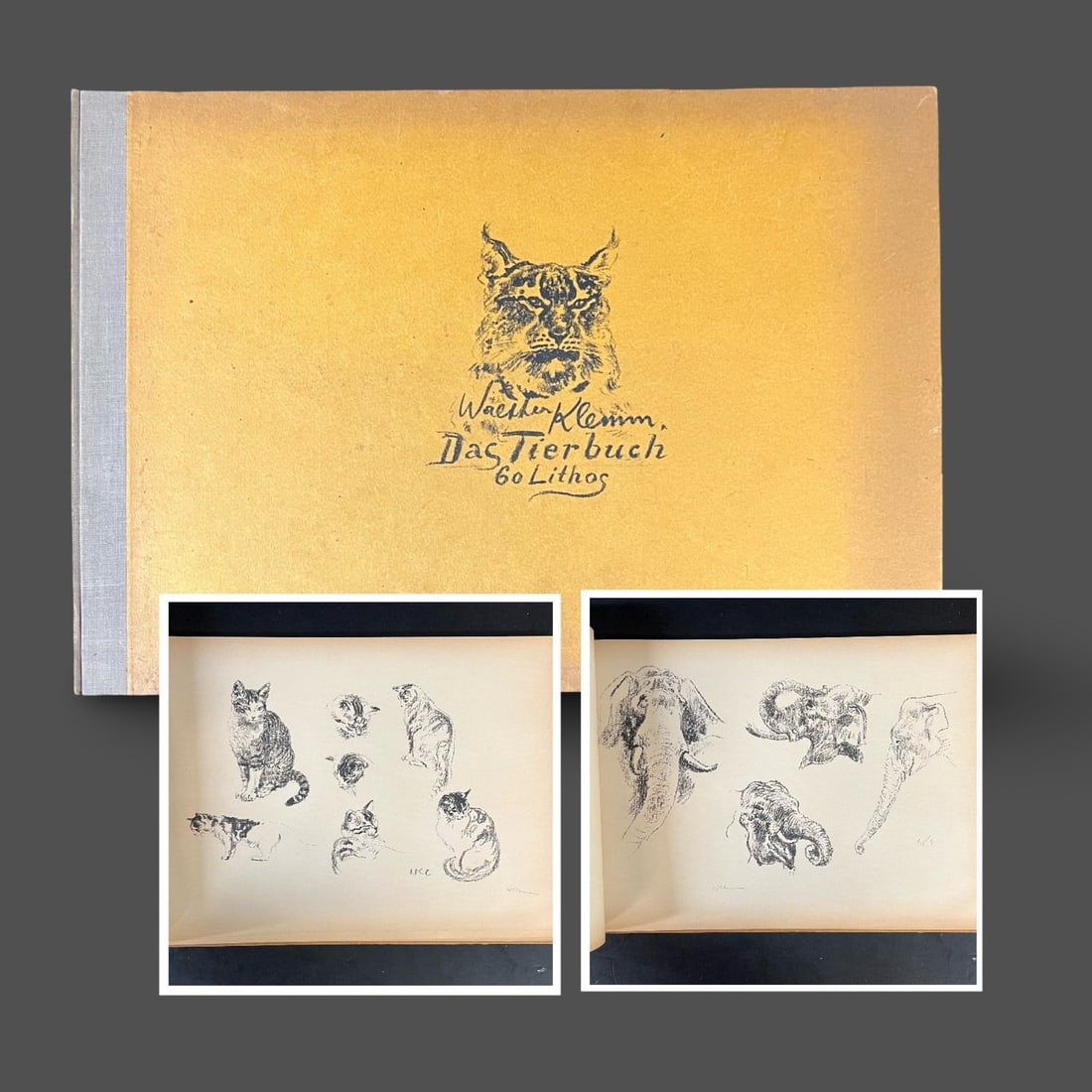 Walter Klemm Das Tierbuch The Animal Book Ltd Ed 60 pencil signed Lithographs (1 of 16)