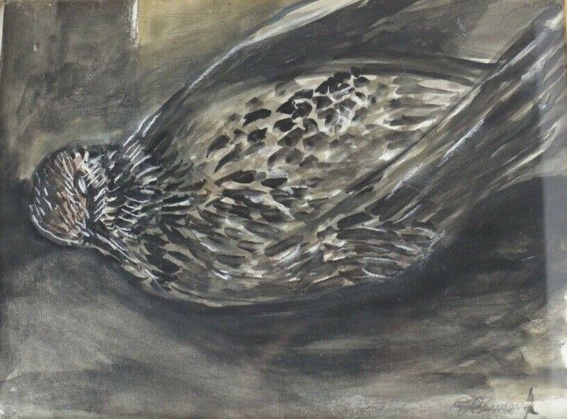 Eleanore Berman 1928-2004 Gouache on paper painting of Starling Bird Signed: Eleanore Berman (1928-2004), Gouache on (sketchbook) paper painting of Starling, framed and glazed. Inscribed and signed by artist on the reverse. Signed in pencil lower right. 1.5lbs. Eleanore Berman