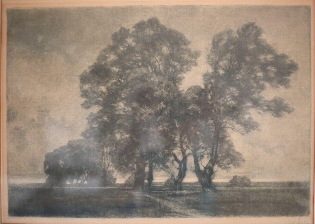 Peter Halm Germany 1854 - 1923 Lithograph Landscape with trees 19-20th century: Peter Halm (Germany 1854 - 1923) Lithograph on paper, Landscape of trees, in pencil signed lower right. Late 19th- early 20th century, In wood frame, glazed. (apologies for the glare.) 5lb Measurement