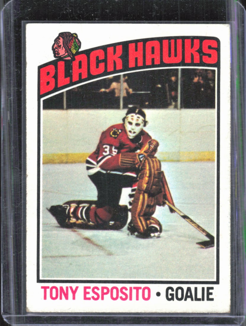 Tony Esposito 1976 Topps #100 Vintage Hockey Card, Chicago Blackhawks Goalie: Topps Vintage NHL Hockey Trading & Sports Cards, Old Sports Cards for Sale Near Me, Stanley Cup & Hall of Fame Players, Valuable Auction Memorabilia Lots for Sale On Line