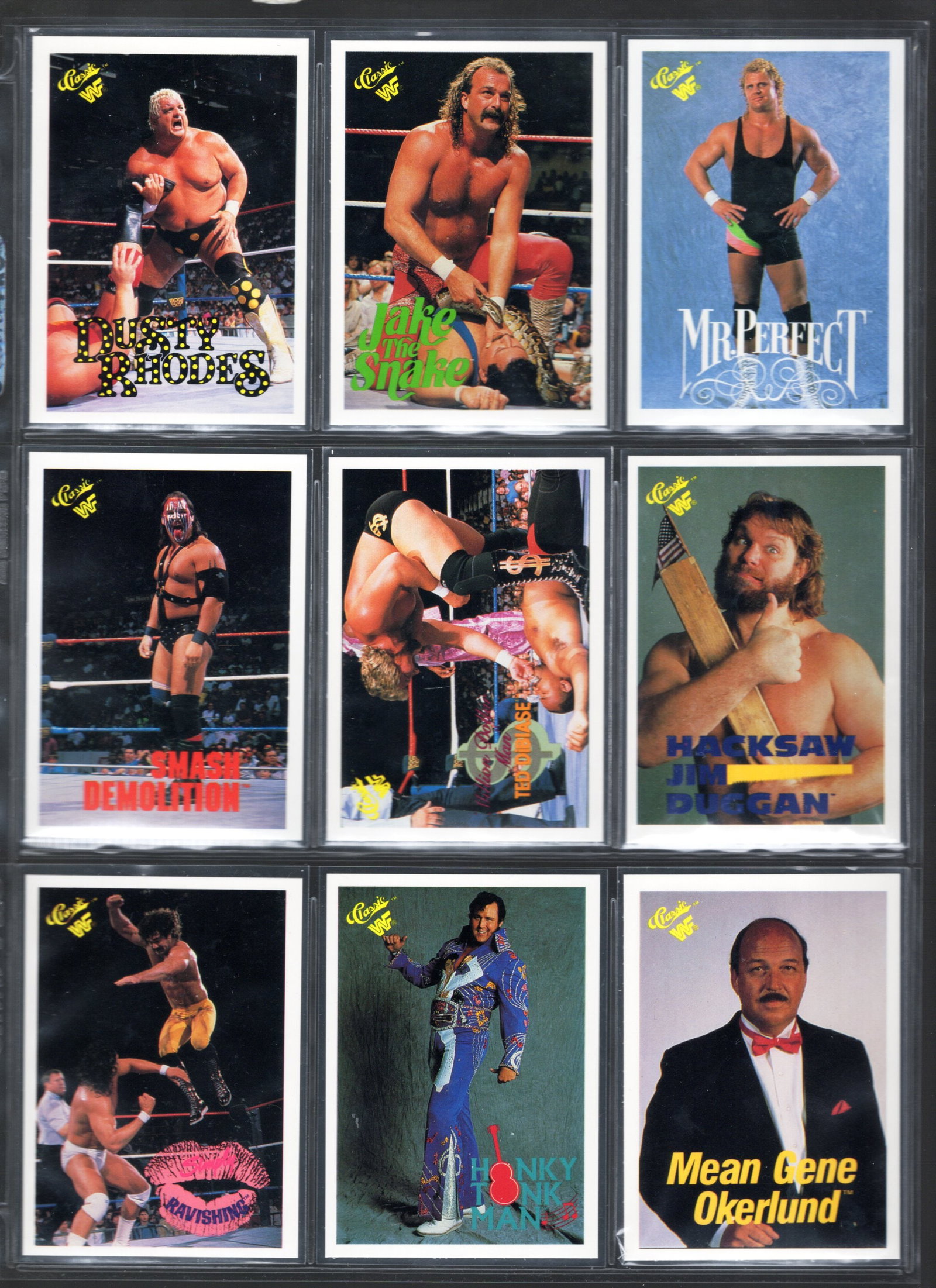 9 - Vintage Classic WWF Wrestling Trading Cards, Dusty Rhodes, Hacksaw Jim Duggan, Ted DiBiase, Jake: Classic Vintage Wrestling WWF Trading & Sports Cards, Old Sports Cards for Sale Near Me, Auction Memorabilia Lots for Sale On Line, Wrestlemania Champion Wrestlers