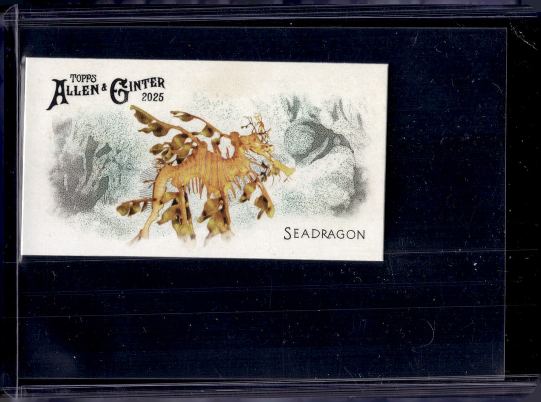 Seadragon 2025 Topps Allen & Ginter #FGW-14: Topps Baseball MLB Trading & Sports Cards, Sports Cards for Sale Near Me, World Series & Hall of Fame Players Memorabilia, Refractors, X-Fractors, Numbered, SP, SSP, Valuable Auction Memorabilia Lots 