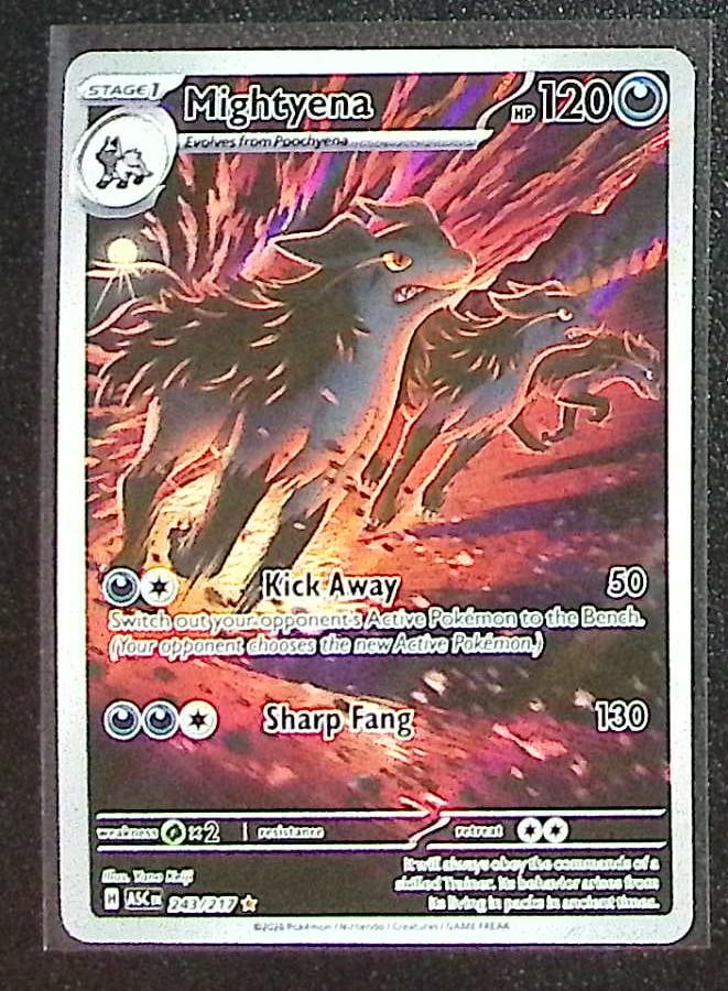 Pokemon Ascended Heroes Mightyena Illustration Rare #243: Pokemon Trading Card Game Cards, Charizard, Pikachu, Mewtwo, Reverse Holo, Holo Rare, Secret Rare Cards, Full Art Cards, Eevee, Ultra Rare Card, Illustration Rare, Special Illustration Rare SIR