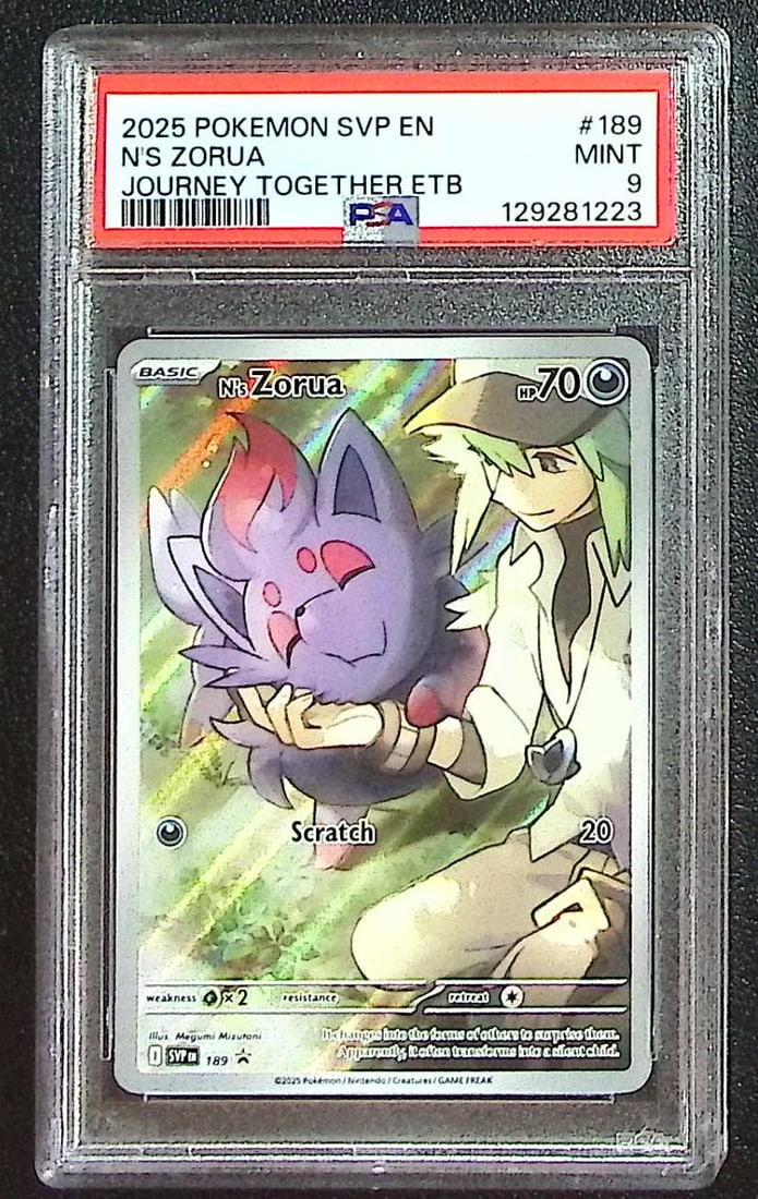 Pokemon Journey Together ETB Promo N's Zorua #189 PSA 9: Pokemon Trading Card Game Cards, Charizard, Pikachu, Mewtwo, Reverse Holo, Holo Rare, Secret Rare Cards, Full Art Cards, Eevee, Ultra Rare Card, Illustration Rare, Special Illustration Rare SIR