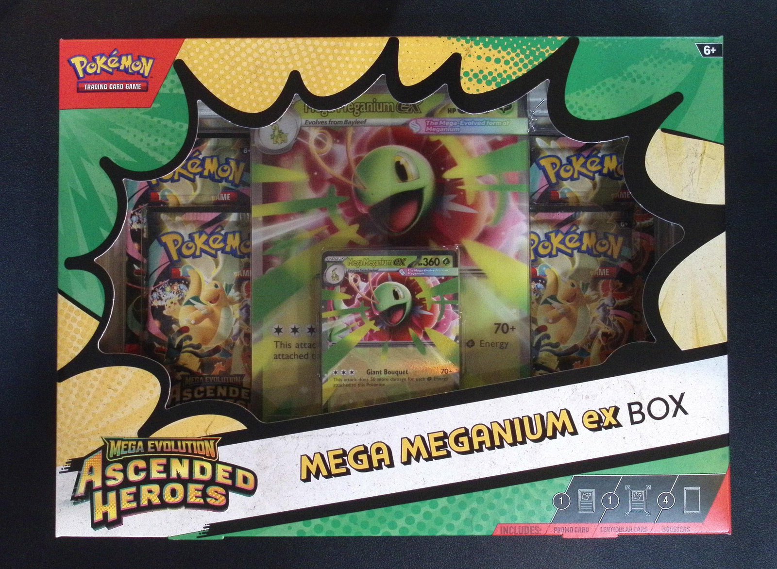 Pokemon Ascended Heroes Mega Meganium ex Box: 4 Ascended Heroes Booster Packs, 2 Promo Cards: Pokemon Trading Card Game Cards, Charizard, Pikachu, Mewto, EX, Referse Holo, Holo Rare Cards, Secret Rare Cards, Full Art Cards, Evee, 3 Stars Ultra Rare Cards, Double Rare, Illustration Rare, Specia