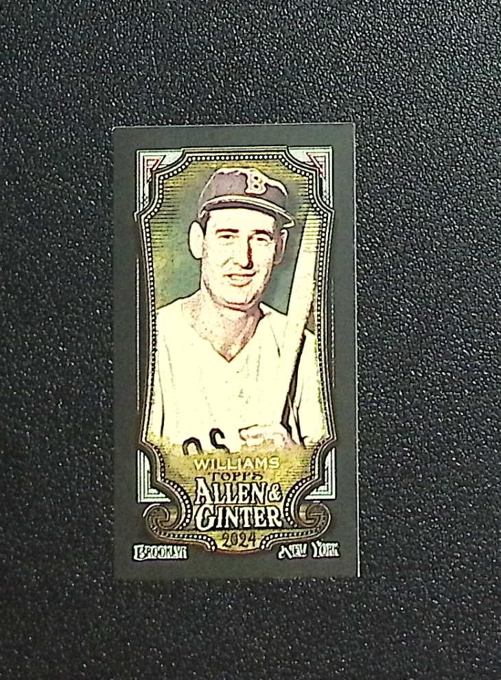 Ted Williams Mini Black Border 2024 Allen & Ginter #252 Boston Red Sox: Pokemon Trading Card Game Cards, Charizard, Pikachu, Mewtwo, Reverse Holo, Holo Rare, Secret Rare Cards, Full Art Cards, Eevee, Ultra Rare Card, Illustration Rare, Special Illustration Rare SIR