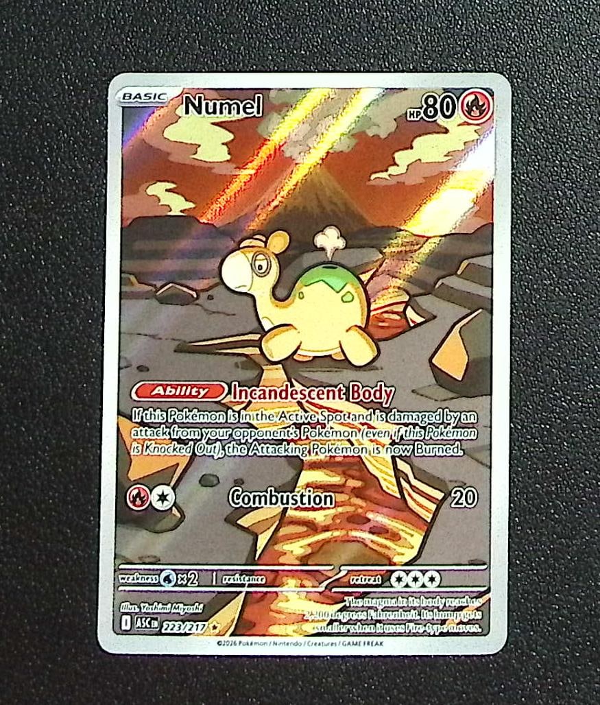 Pokemon Ascended Heroes Numel Illustration Rare #223 (1 of 2)