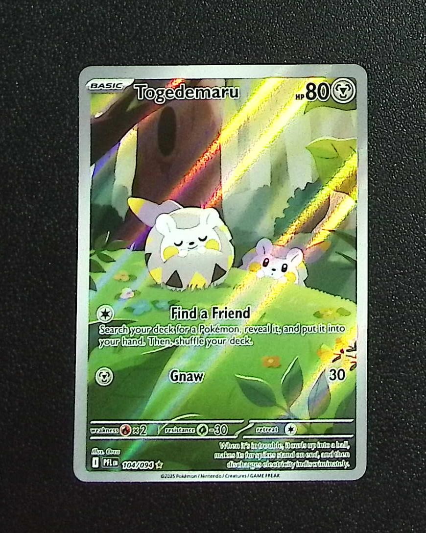 Pokemon Phantasmal Flames Togedemaru Illustration Rare #104: Pokemon Trading Card Game Cards, Charizard, Pikachu, Mewtwo, Reverse Holo, Holo Rare, Secret Rare Cards, Full Art Cards, Eevee, Ultra Rare Card, Illustration Rare, Special Illustration Rare SIR