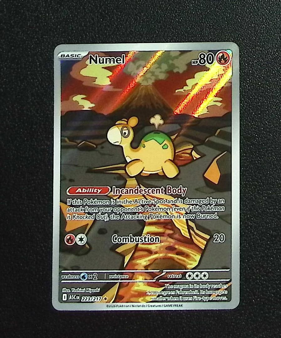 Pokemon Ascended Heroes Numel Illustration Rare #223: Pokemon Trading Card Game Cards, Charizard, Pikachu, Mewto, EX, Referse Holo, Holo Rare Cards, Secret Rare Cards, Full Art Cards, Evee, 3 Stars Ultra Rare Cards, Double Rare, Illustration Rare, Specia