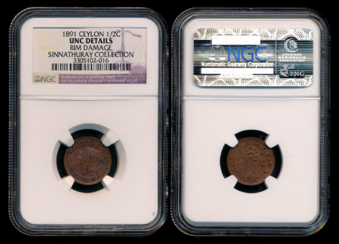 Ceylon QV 1/2c 1891 NGC UNC (1 of 1)