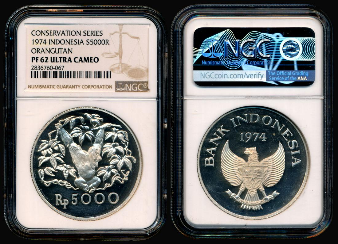 Indonesia 5000 Rupiah 1974 proof NGC PF62UC: Indonesia 5000 Rupiah, (KM.40a), 1974, Conservation series, Orangutan, silver, proof, NGC PF62 Ultra Cameo.