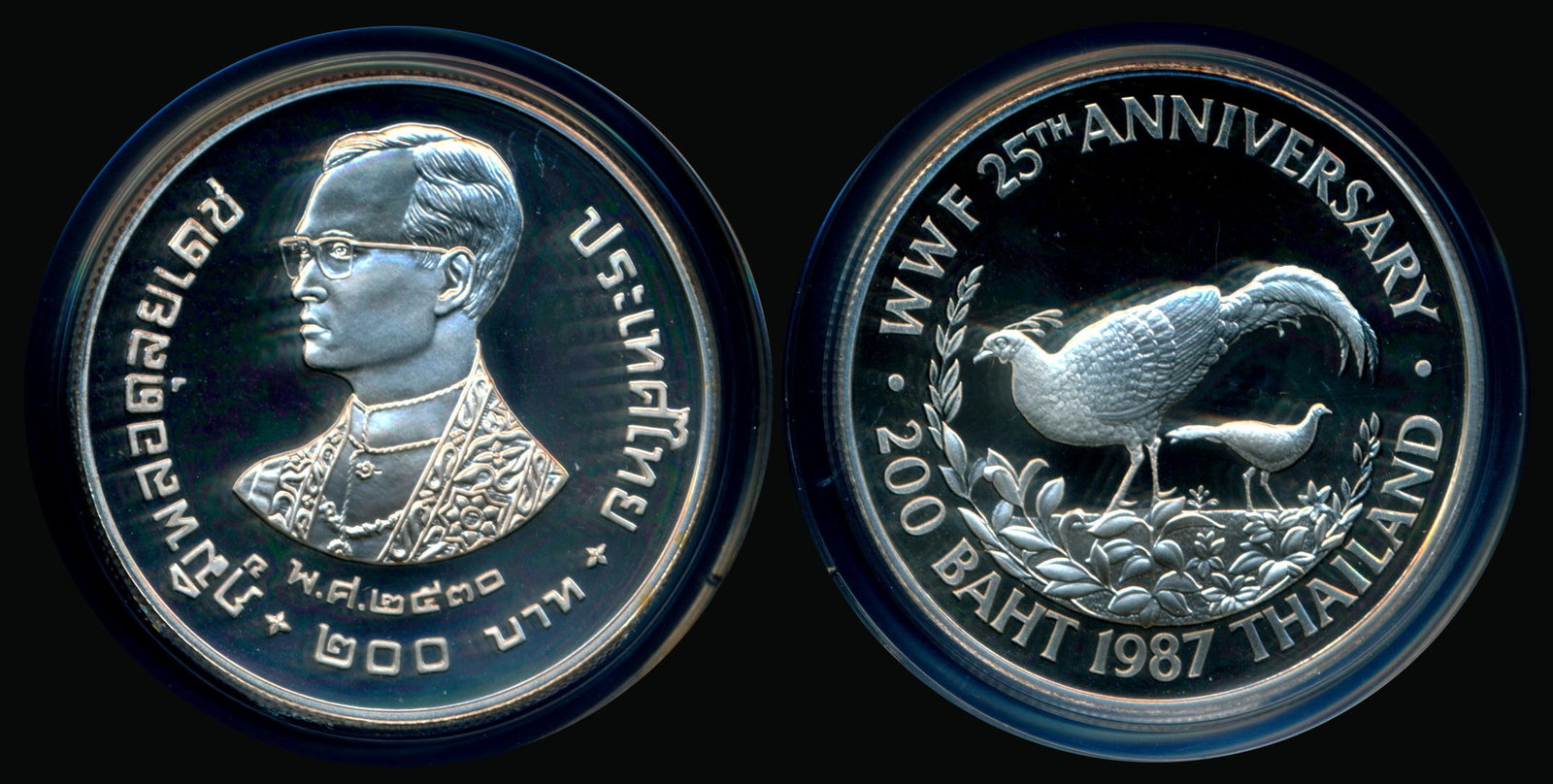 Thailand Rama IX 200 Baht 1987 proof PCGS: Thailand Rama IX, 200 Baht, (Y.206), BE2530 (1987), 25th Anniversary of the World Wildlife Fund, proof, PCGS PR69DCAM.