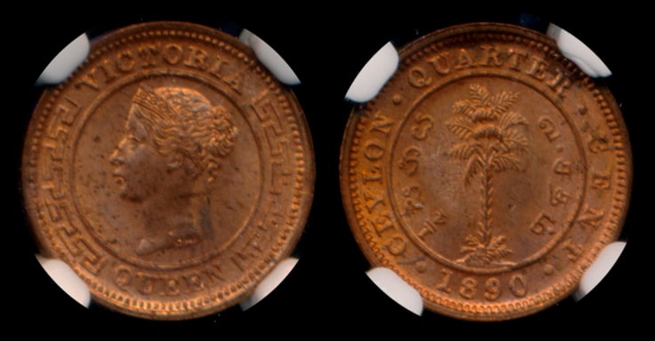 Ceylon QV 1/4c 1890 NGC MS64RD (1 of 1)