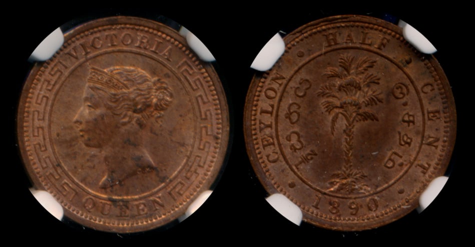 Ceylon QV 1/2c 1890 NGC MS63RB (1 of 1)