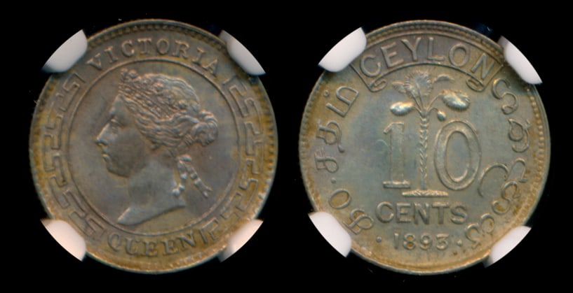 Ceylon QV 10c 1893 NGC MS64 (1 of 1)