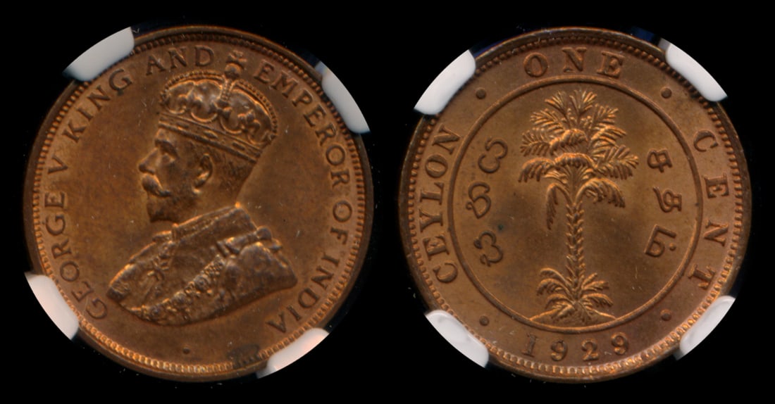 Ceylon KGV 1c 1929 NGC MS64RB (1 of 1)