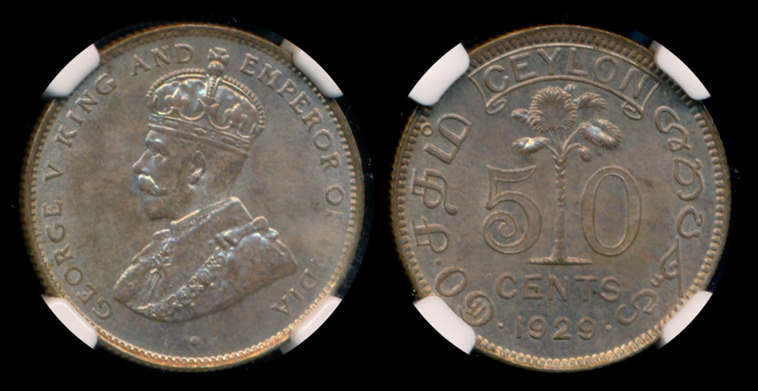 Ceylon KGV 50c 1929 NGC MS64 (1 of 1)