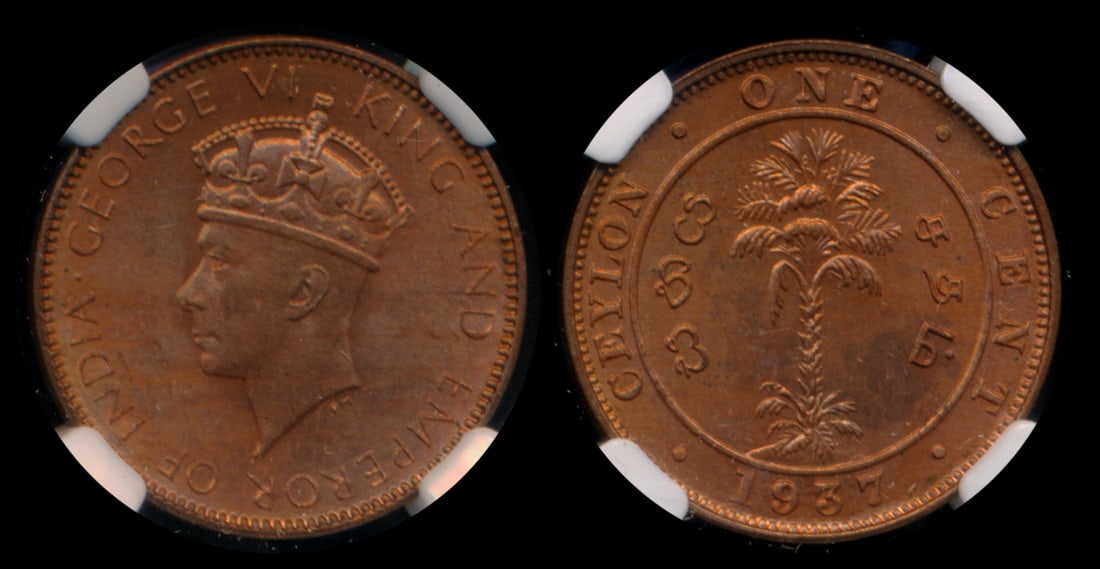 Ceylon KGVI 1c 1937 NGC MS65RD (1 of 1)