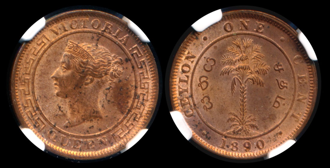 Ceylon QV 1c 1890 NGC (1 of 1)
