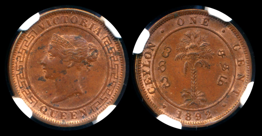 Ceylon QV 1c 1892 NGC (1 of 1)