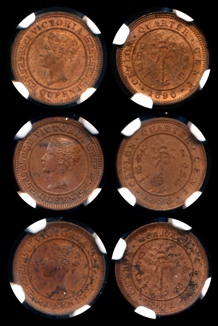 Ceylon QV 1/4c 1890 1898 1901 NGC: Ceylon Victoria, Quarter Cent, (KM.90), 1890, 1898, 1901, graded NGC MS62RB, MS62RB and MS61BN respectively, Ex-Sinnathuray Collection. (3)