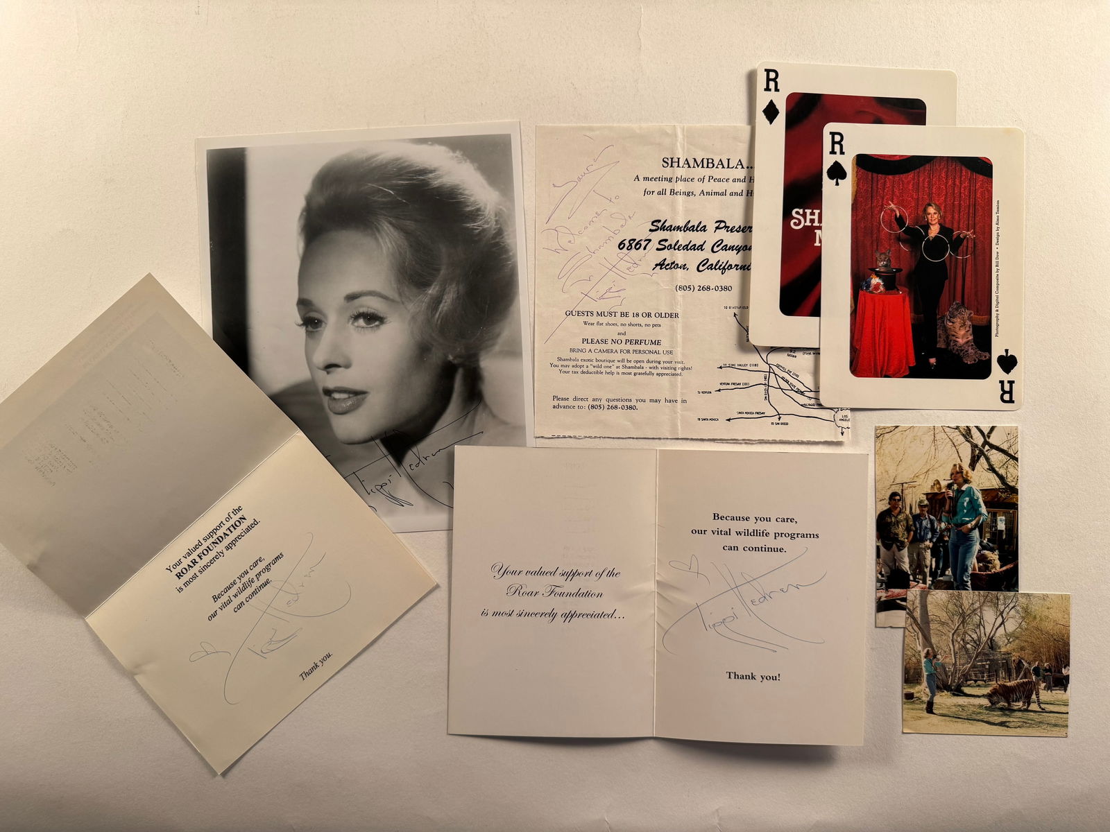 Lot of Tippi Hendren Card Autographs Shambala Memorabilia and 8x10 Photo (1 of 5)