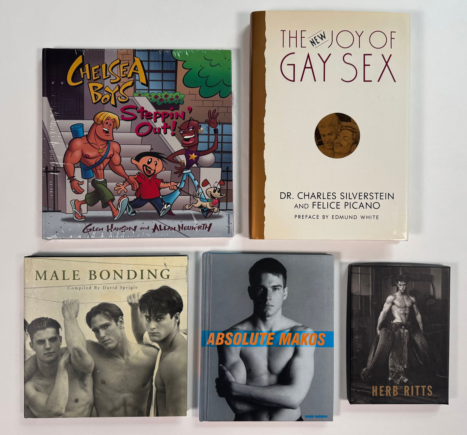 Lot of 5 Gay Interest Books Herb Ritts Joy of Gay Sex Chelsea Boys David Sprigle: Chelsea Boys - steppin' Out! by Glen Hanson and Allan Neuwirth SEALED, The NEw Joy of Gay Sex, Male Bonoding by David Sprigle, Absoulte Makos and Herb Ritts 25 Postcard Set