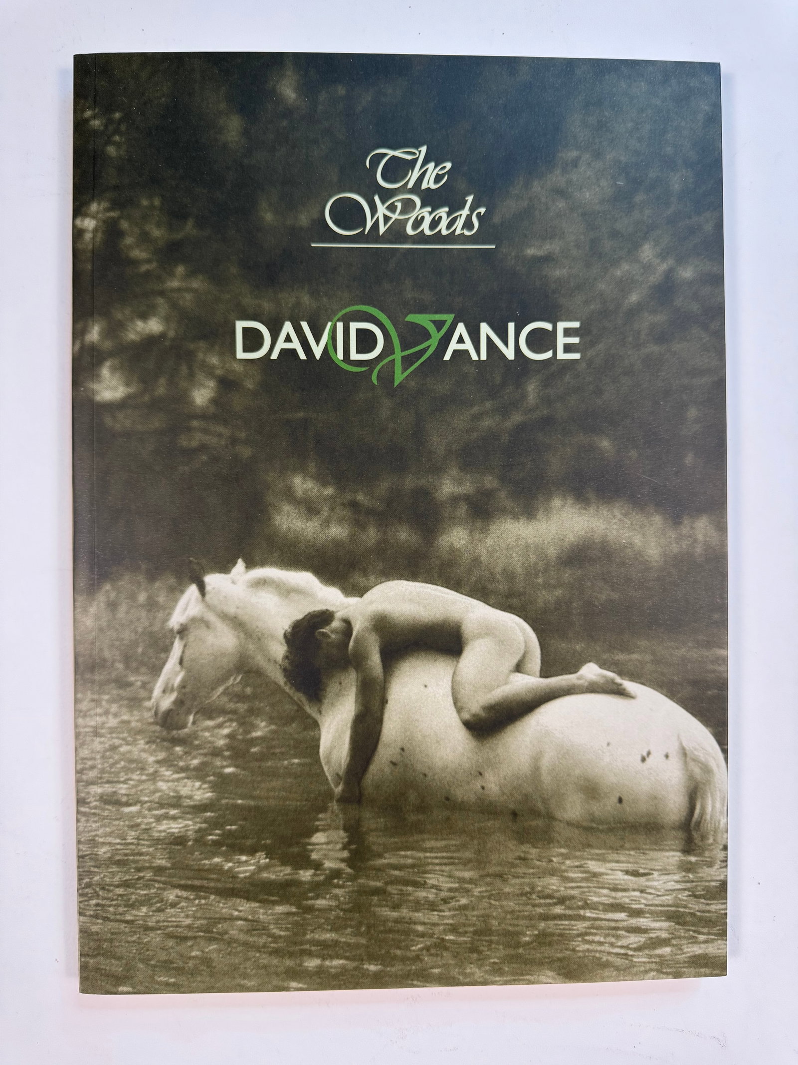 The Woods by David Vance Out of Print Gay Interest Softcover Book: Very Good copy of this rare book.