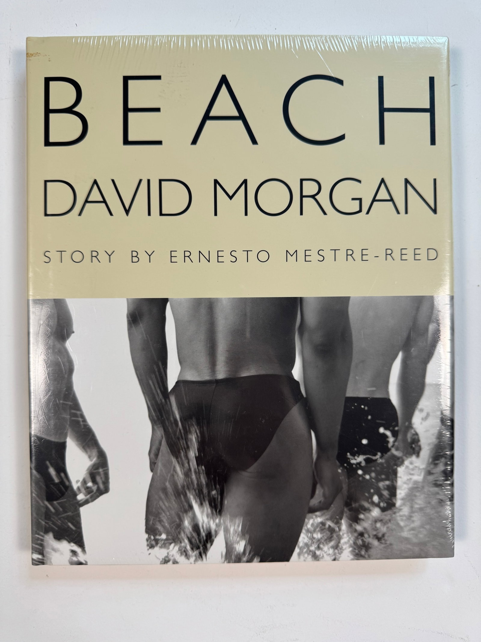 Beach by David Morgan SEALED Out of Print Gay Interest Hardcover Book: Still Sealed.