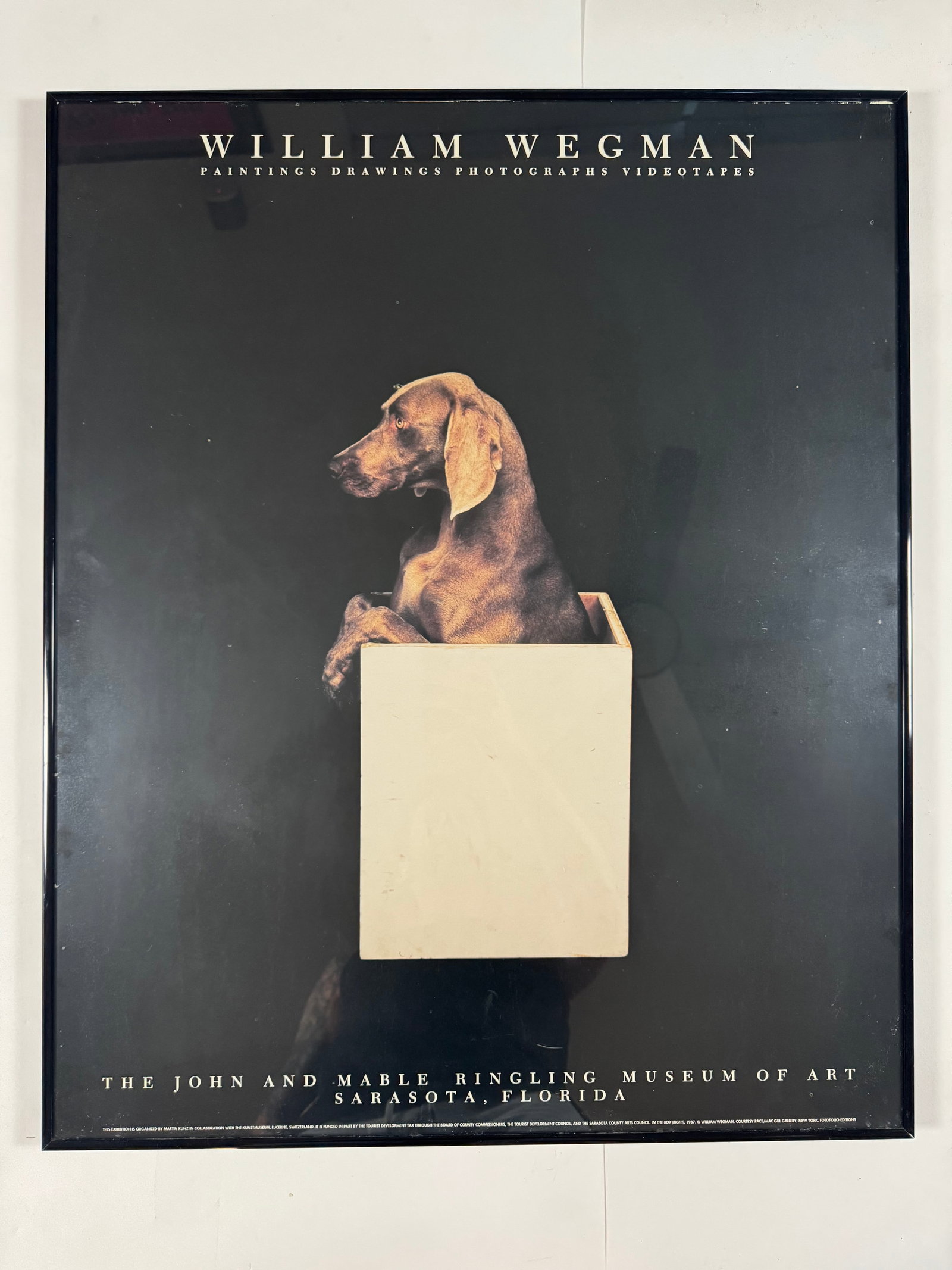 William Wegman Exhibit Original Poster Framed Mounted 23x28 John and Mable Ringling Museum of Art (1 of 4)