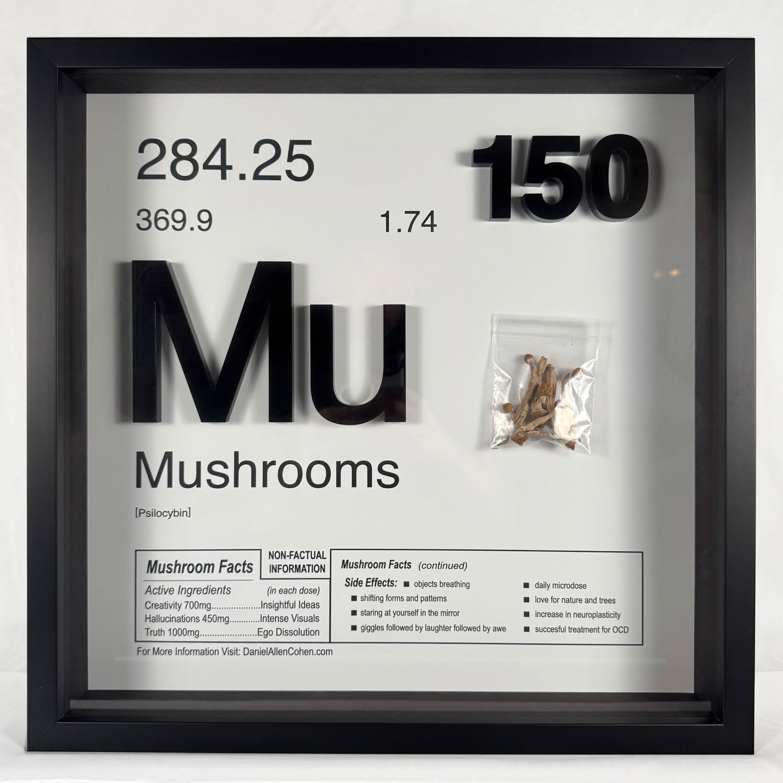 "This Is Addictive - Mushrooms" by Daniel Allen Cohen Signed Numbered 1/3 with COA on Back (1 of 7)