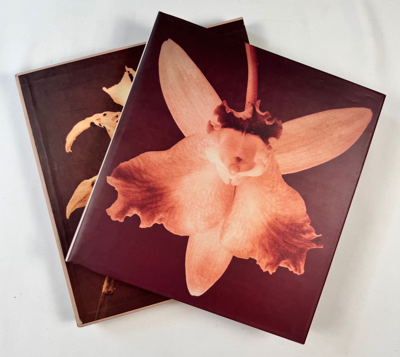 Pistils by Robert Mapplethorpe First Edition Floral Photography Art Book Hardcover: A first edition of Pistils, presenting 120 stunning floral photographs by Robert Mapplethorpe, including many never before published. The volume showcases his mastery across Polaroids, still lifes, co