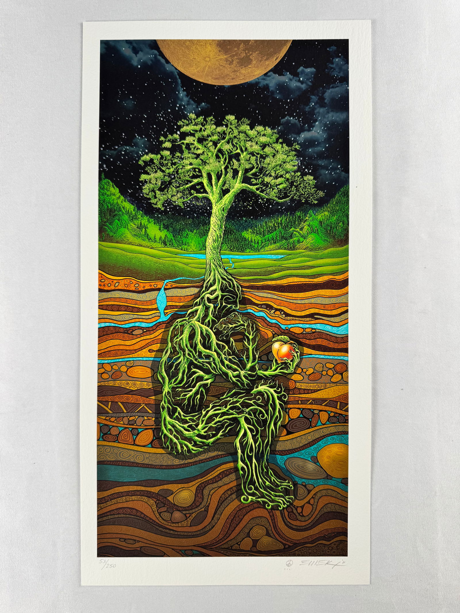 Emek Signed Oregon Country Fair 2011 Under Moon Limited Edition Screen Print 53/250 (1 of 5)