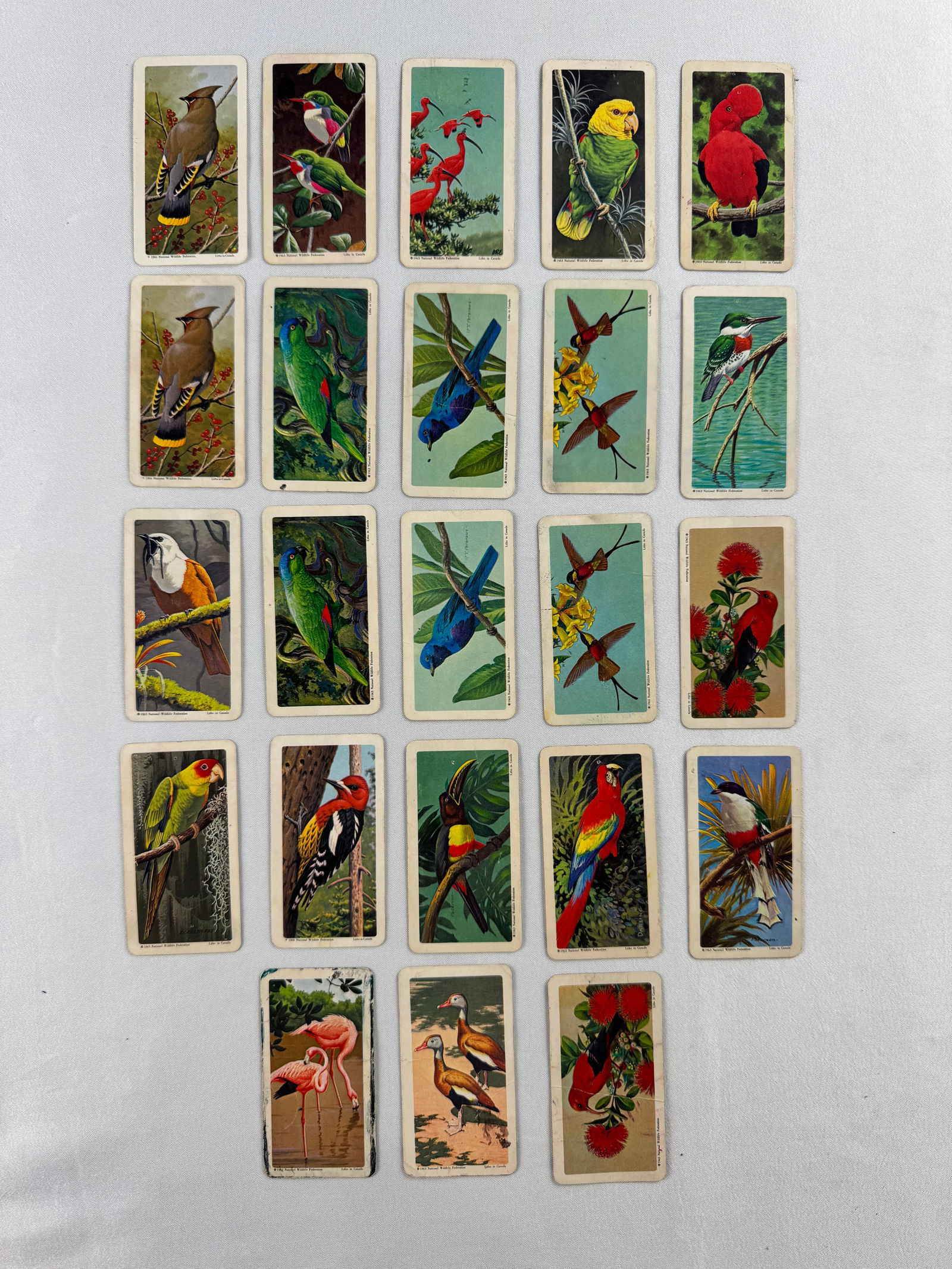 Vintage Illustrated Bird Cigarette Cards Set With Color Species Artwork (1 of 2)