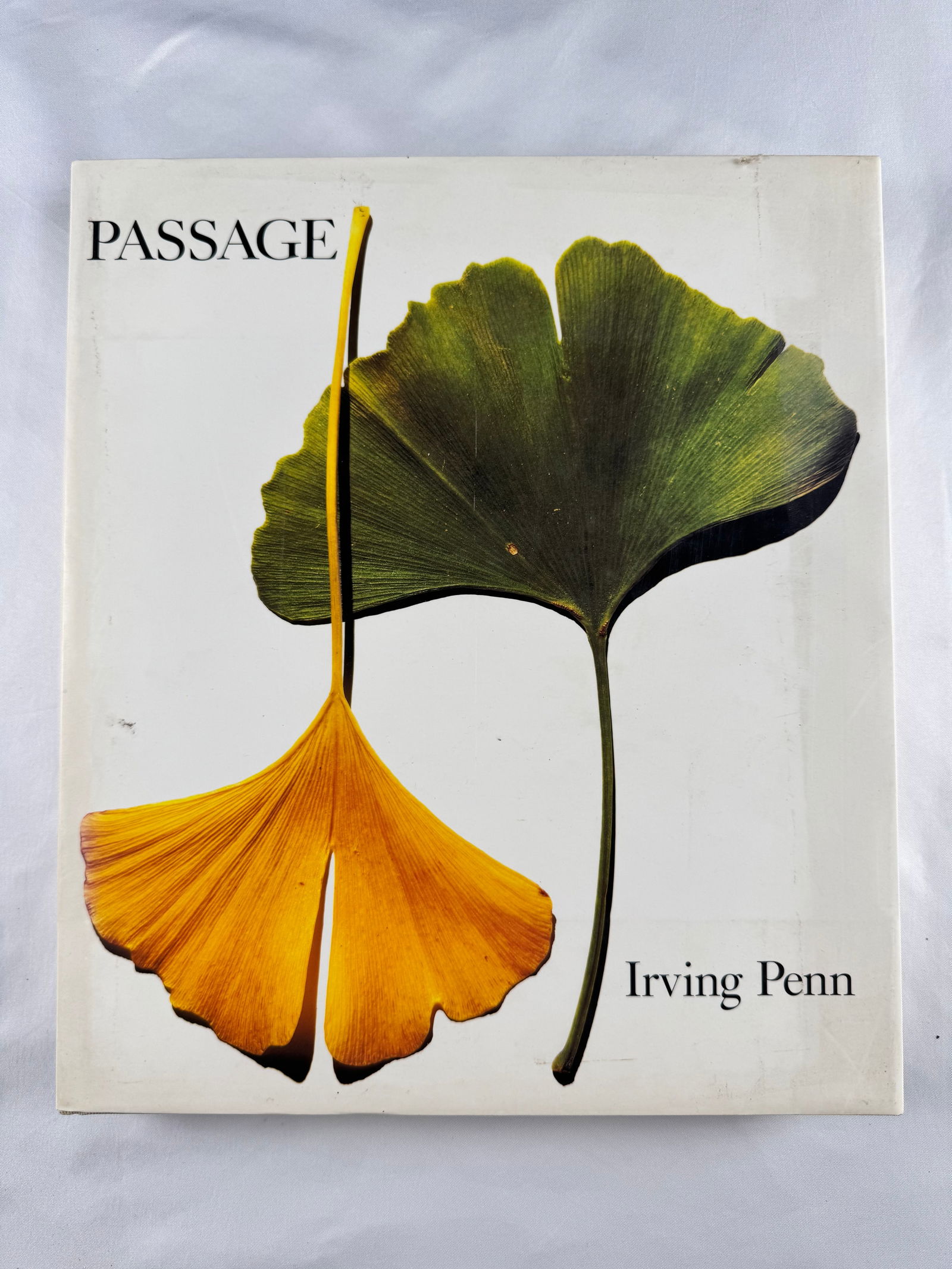 Irving Penn Passage Hardcover Photography Book 1991 (1 of 5)