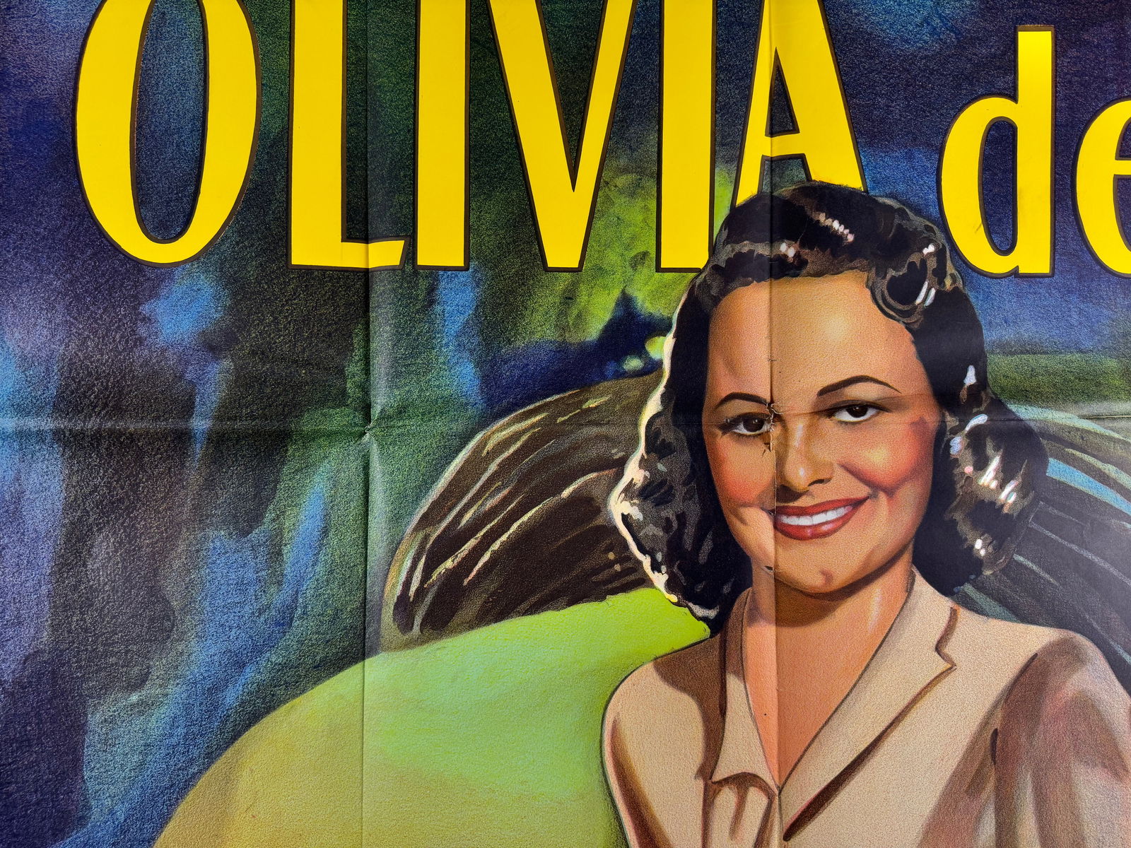 The Snake Pit 1949 6 Sheet Poster HUGE 81 x 81 Olivia de Havilland: Original 1948 six sheet poster for The Snake Pit directed by Anatole Litvak. Stars Olivia de Havilland and Mark Stevens.